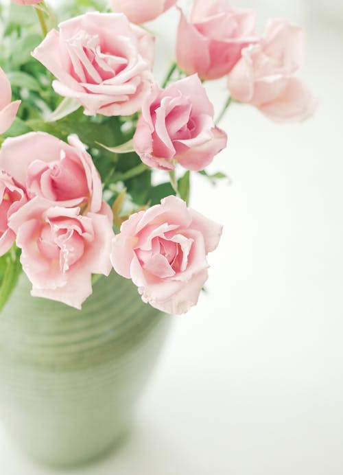 Pink Roses in Pottery Vase