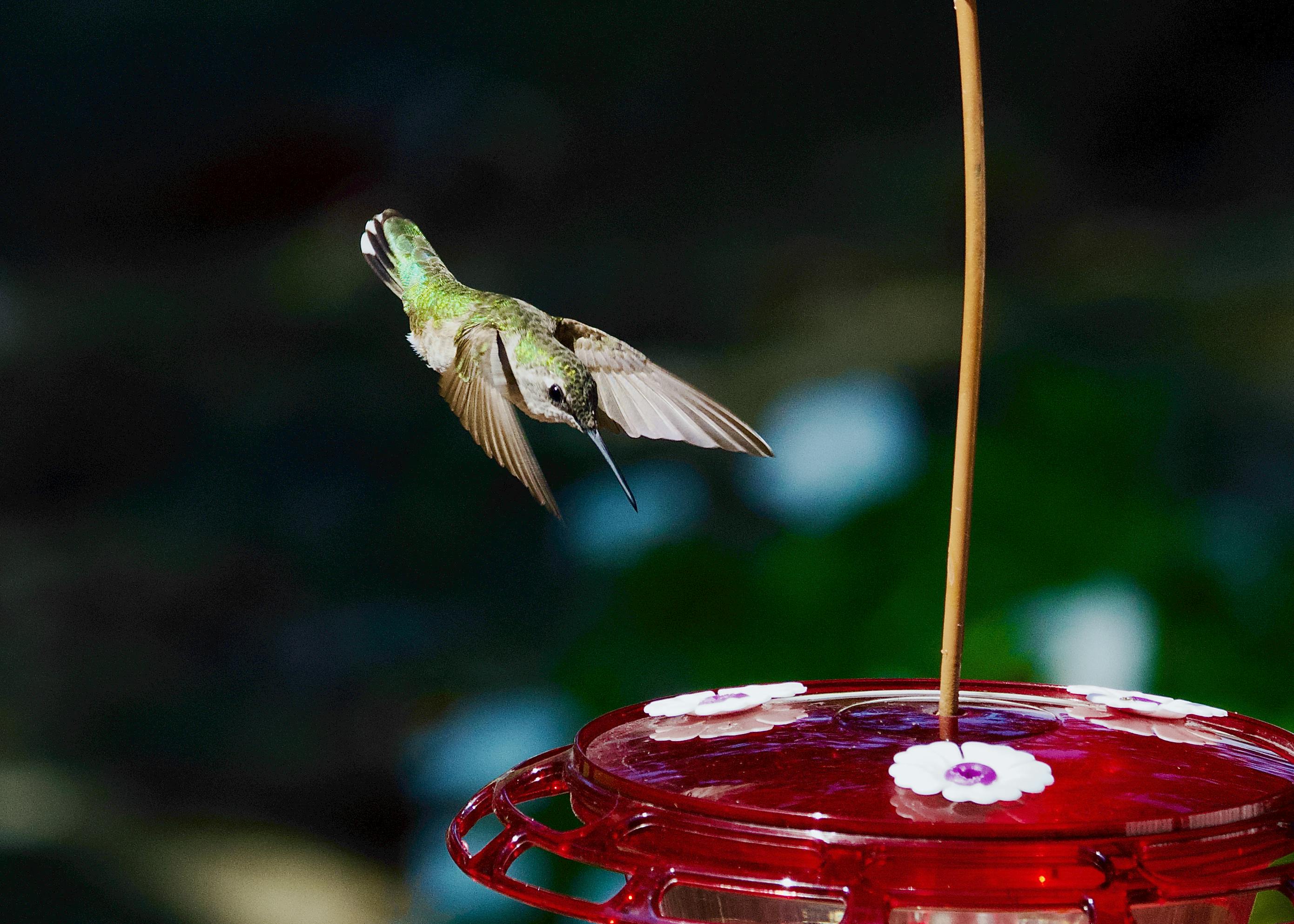 Geothermal power plant steam vent