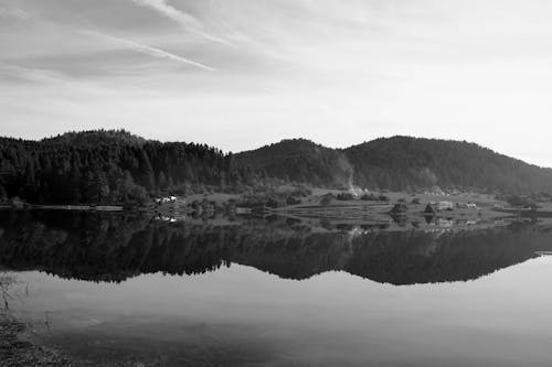 Fotobanka s bezplatnými fotkami na tému čierny a biely, dedinský, jazero