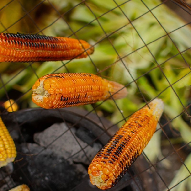 Charred Habanero and Roasted Corn Dip