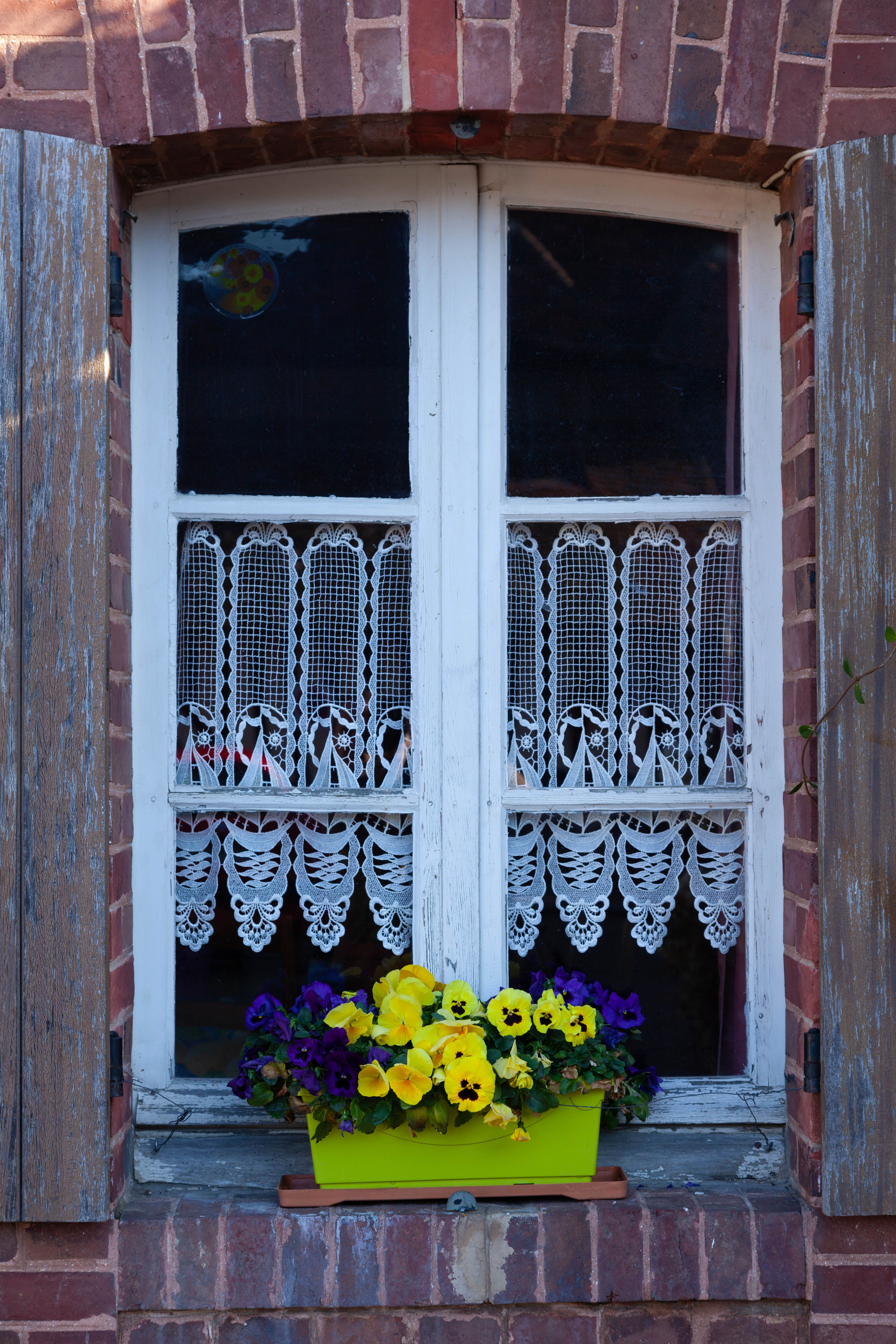 Flowers in Vintage House Window · Free Stock Photo