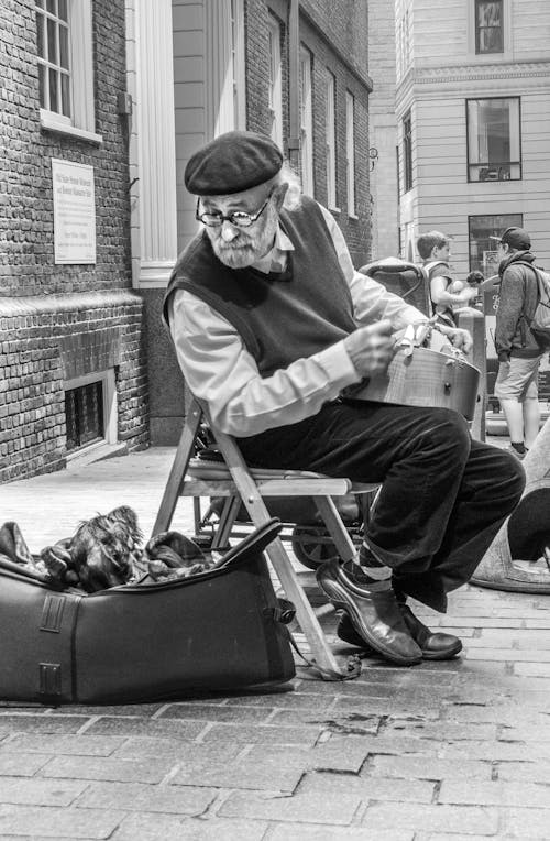 Fotos de stock gratuitas de amigo fiel, blanco y negro, Boston