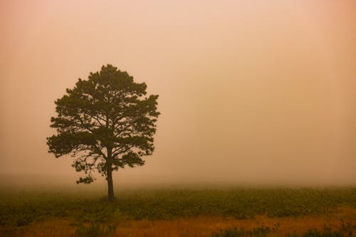 Gratis lagerfoto af bane, dis, landdistrikt