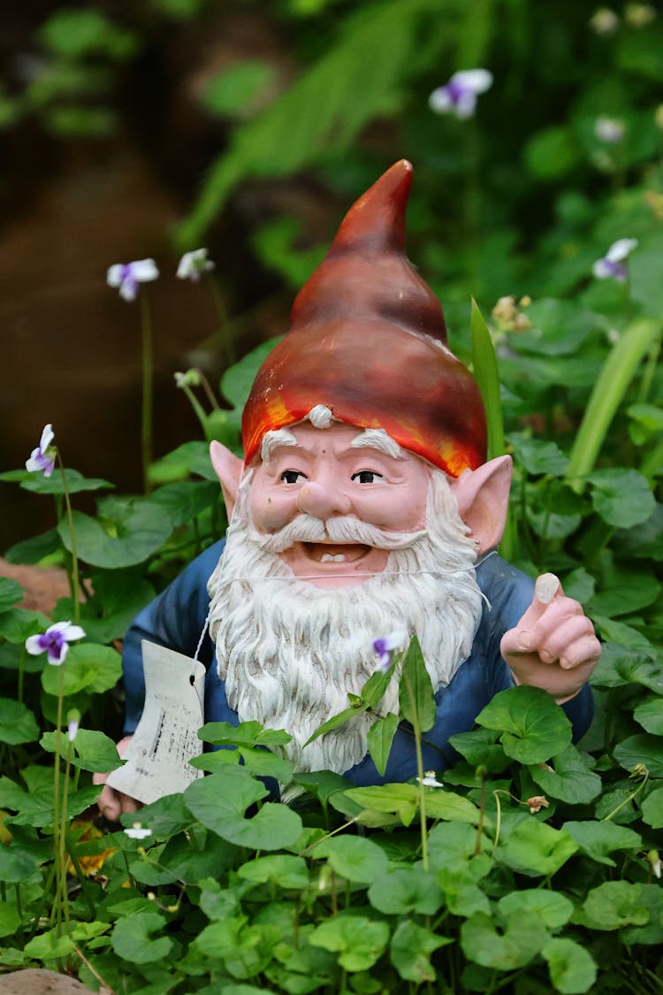 Garden Gnome Among Plants