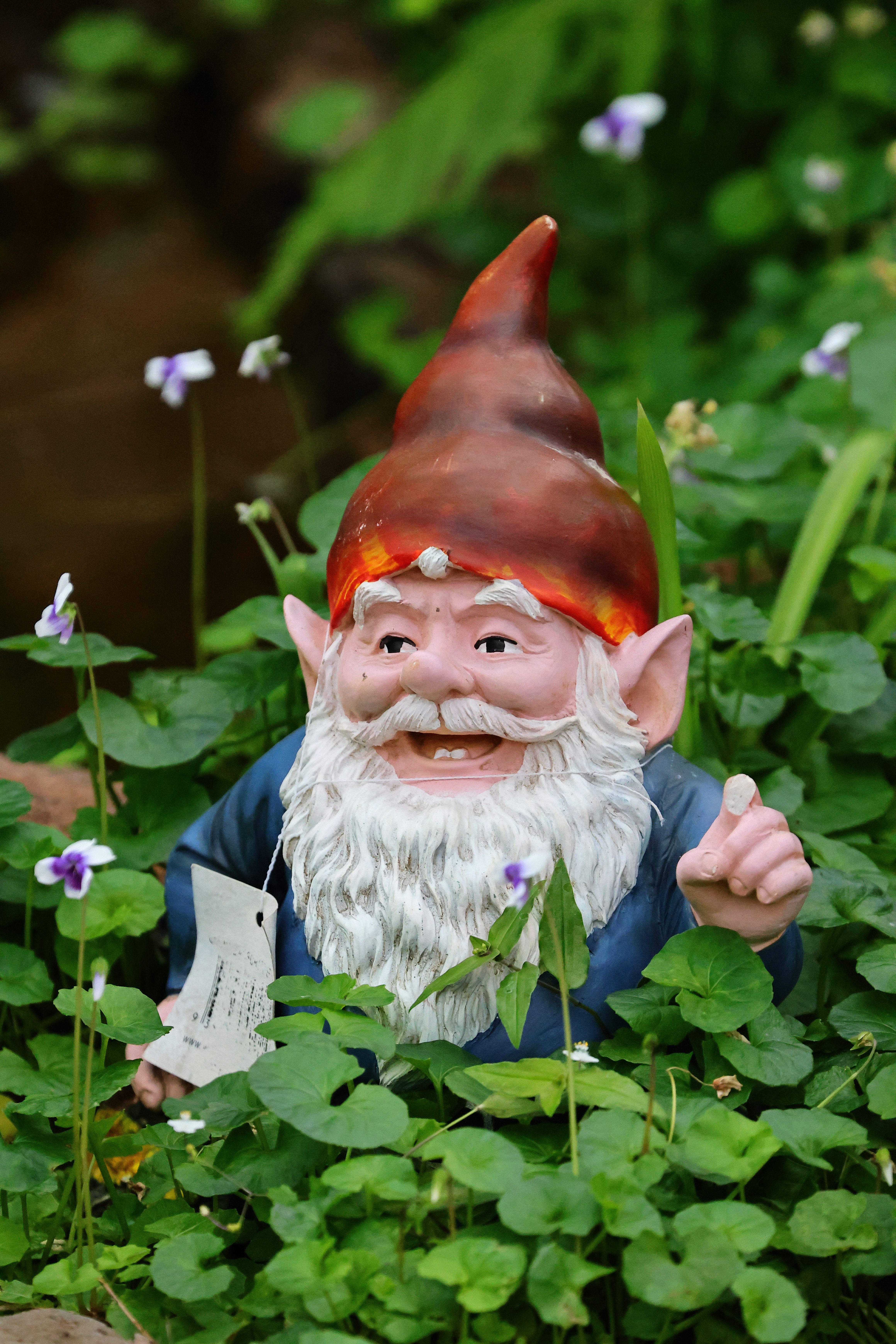 Garden Gnome among Plants · Free Stock Photo