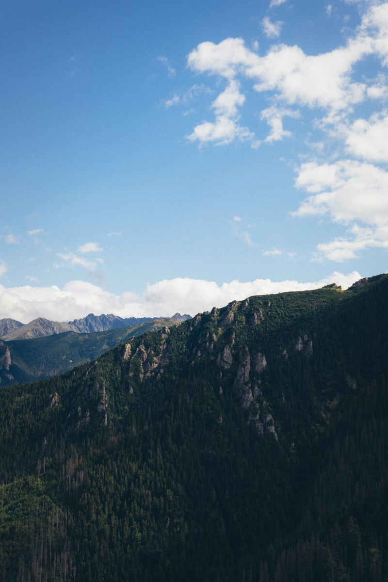 A serene view of the Tatra Mountains with lush forests and rocky peaks under a clear blue sky.