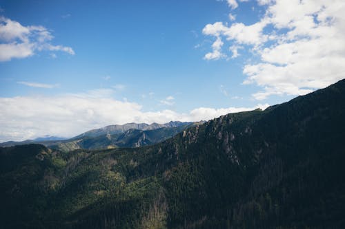 Fotos de stock gratuitas de bosque, cuestas, foto con dron