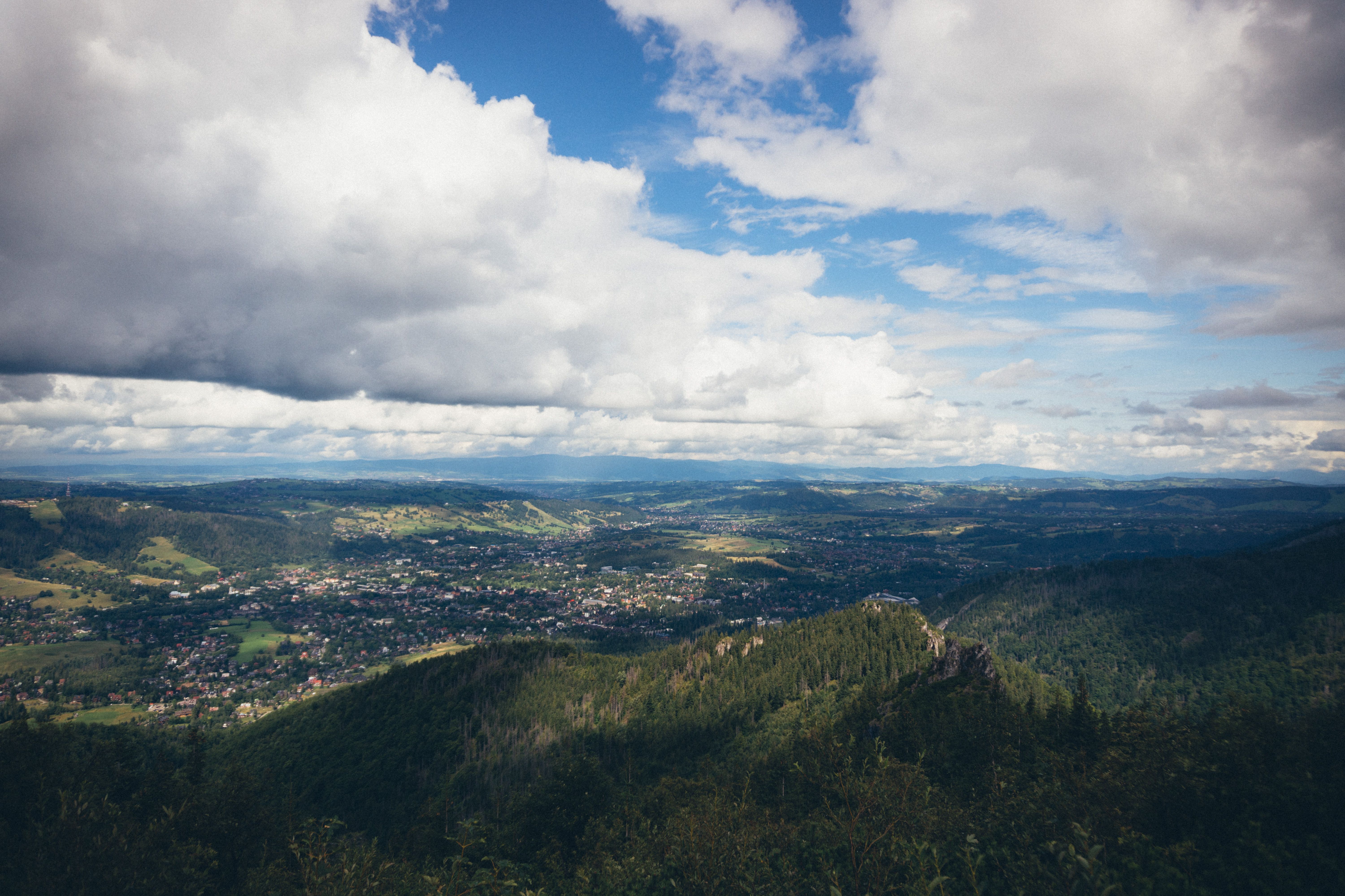 pexels photo 18297447