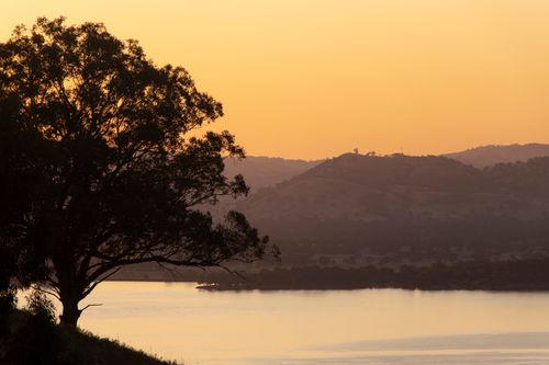 Free Golden sunrise view over Lake Hume with silhouetted tree and mountains. Stock Photo