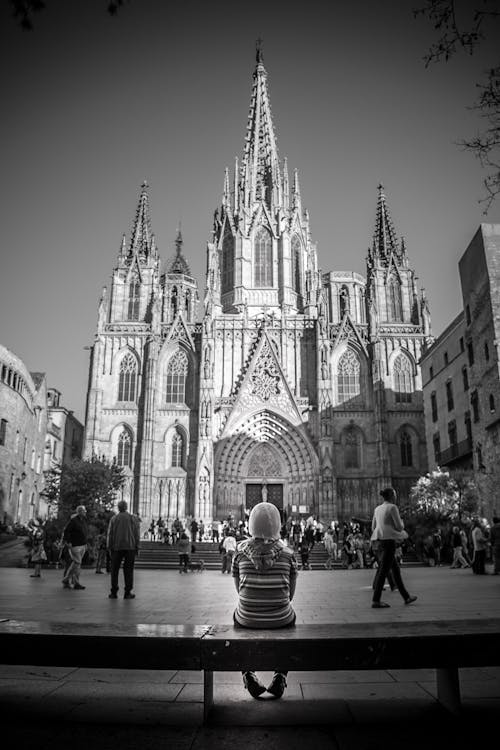 Fotos de stock gratuitas de Barcelona, blanco y negro, catedral