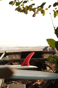 Quilha Single Fin 8"