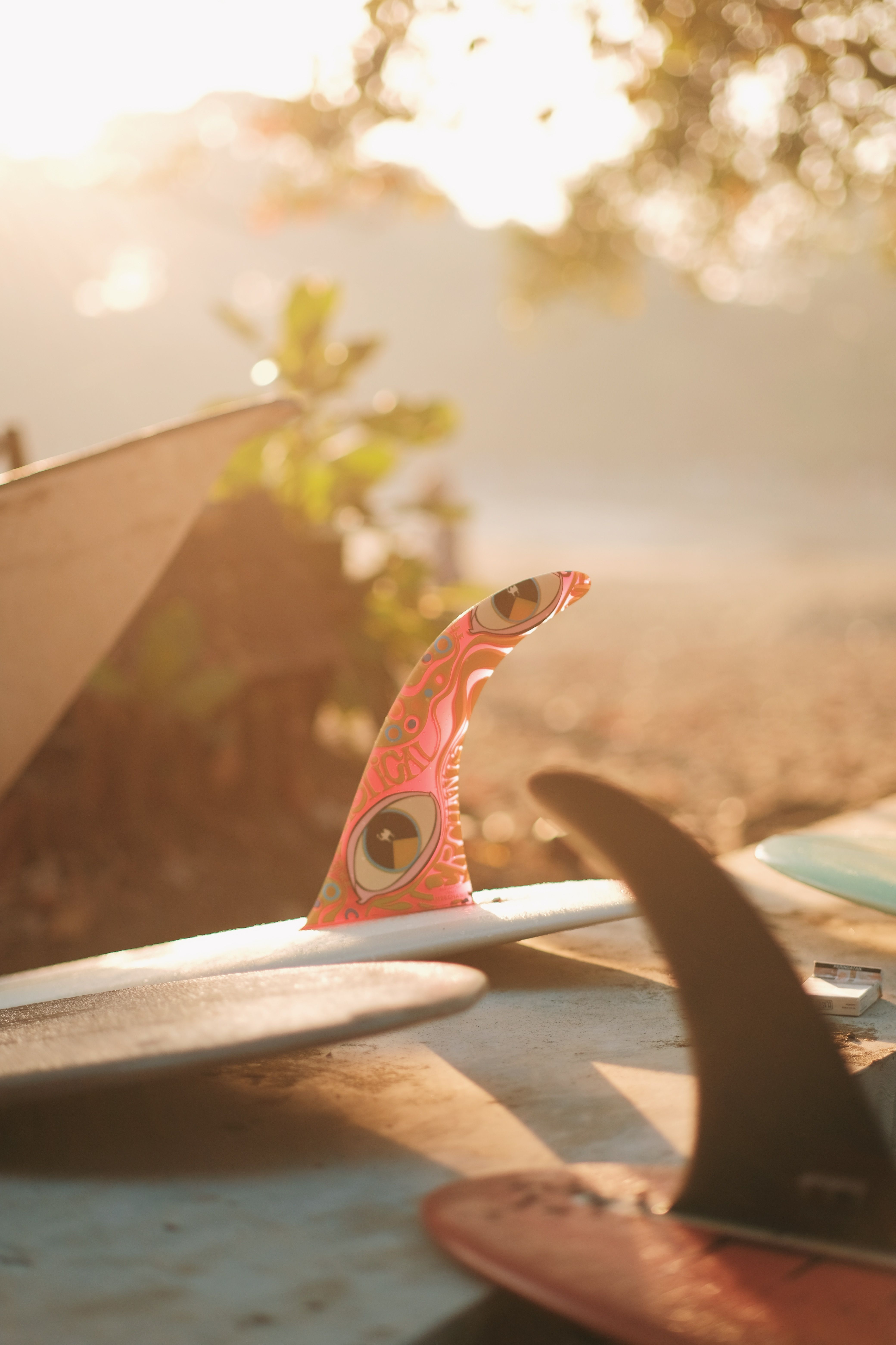Surfboards at Sunset · Free Stock Photo