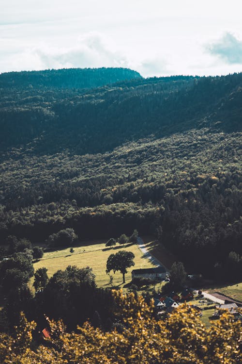 A view of a valley with a house in the distance