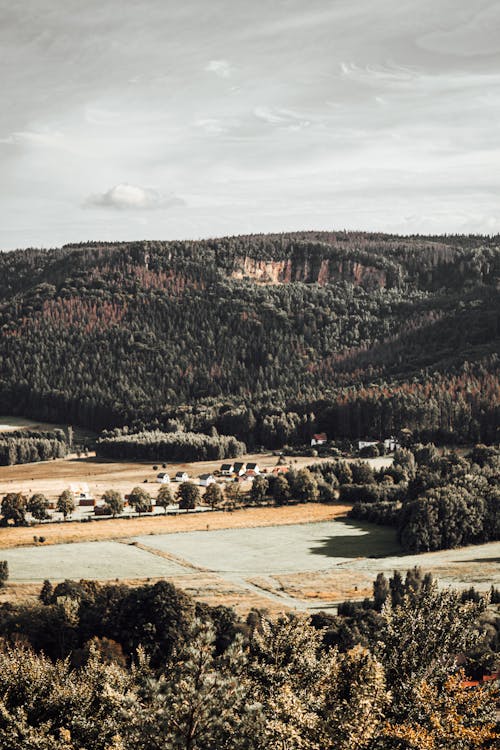 A view of a valley with trees and hills