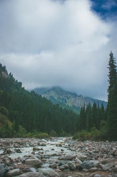 Misty mountain landscape with a rocky river in Almaty, Kazakhstan.