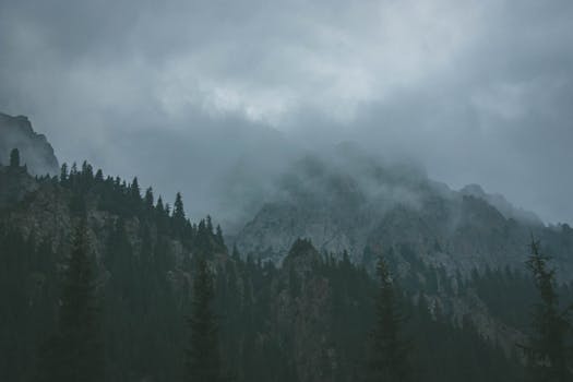 Moody mountain scene with fog and dense forest in Almaty, Kazakhstan.