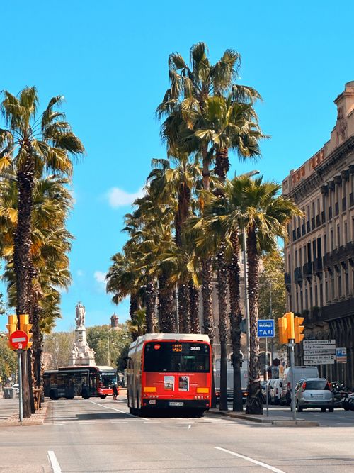 Free City street with buses and palm trees under a clear blue sky, offering a vibrant urban scene. Stock Photo