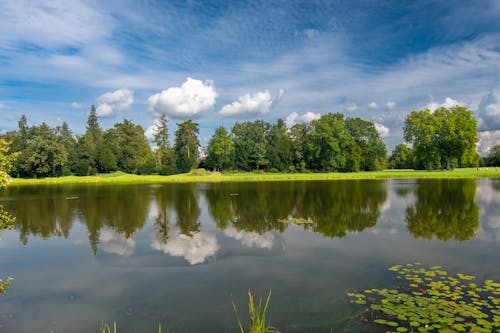 Kostnadsfri bild av grön, lantlig, natur