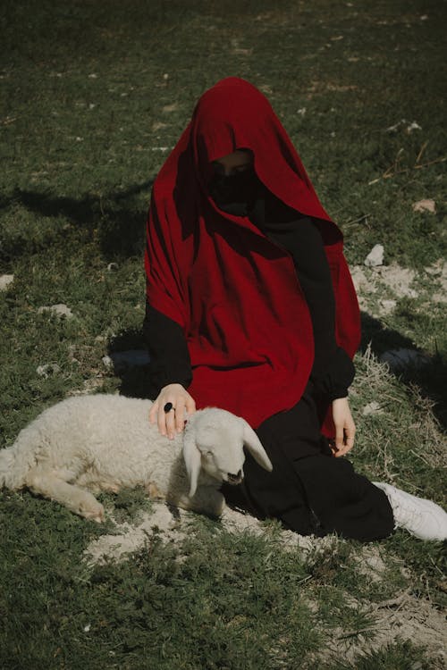 Woman in a Red and Black Burqa Stroking a Lamb in the Pasture