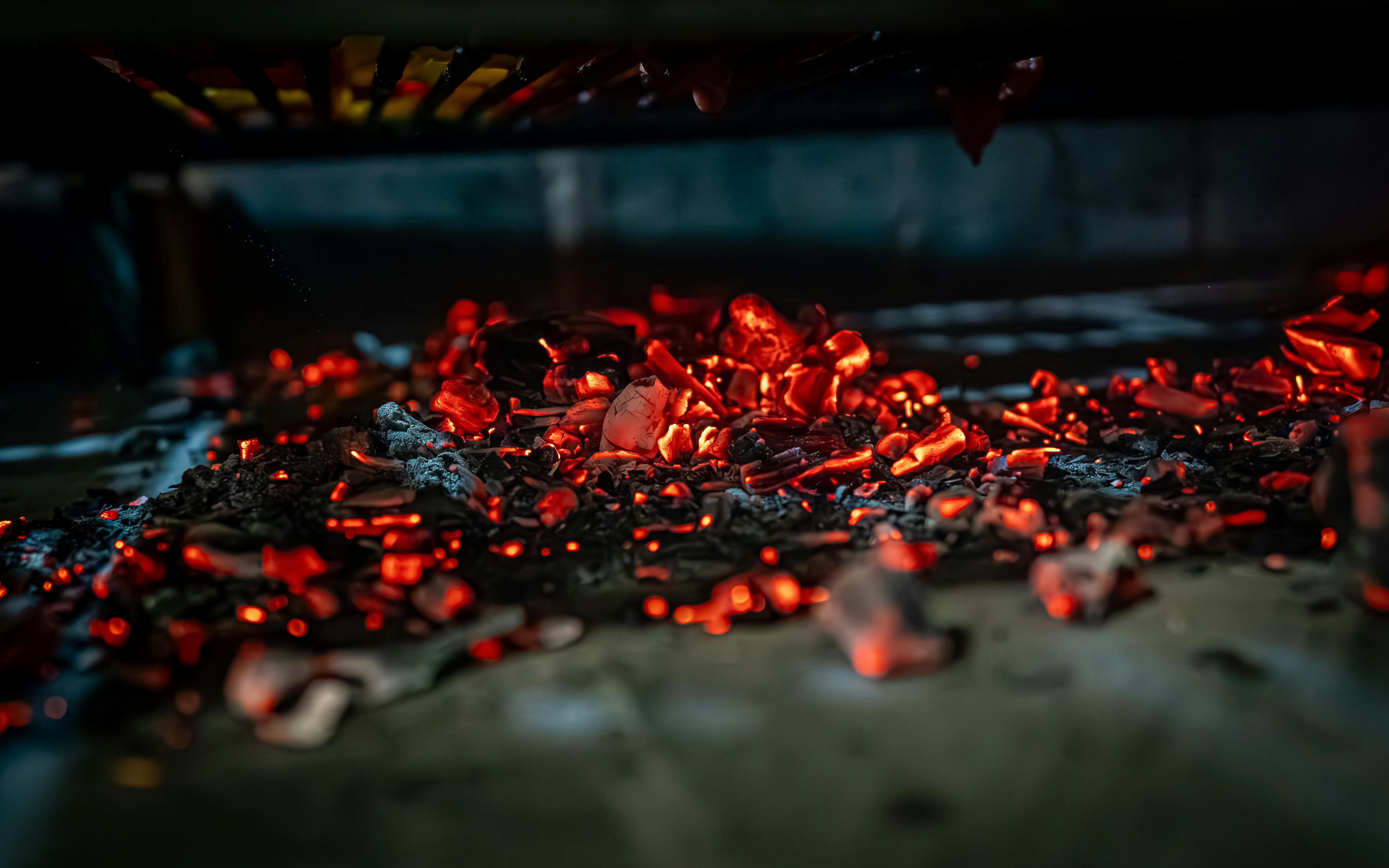 grilled meat on the barbecue