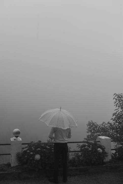 Foto stok gratis hitam & putih, hujan, kabut
