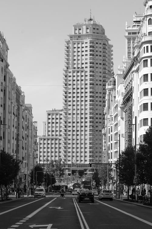 シティ, スペイン, トーレ マドリードの無料の写真素材