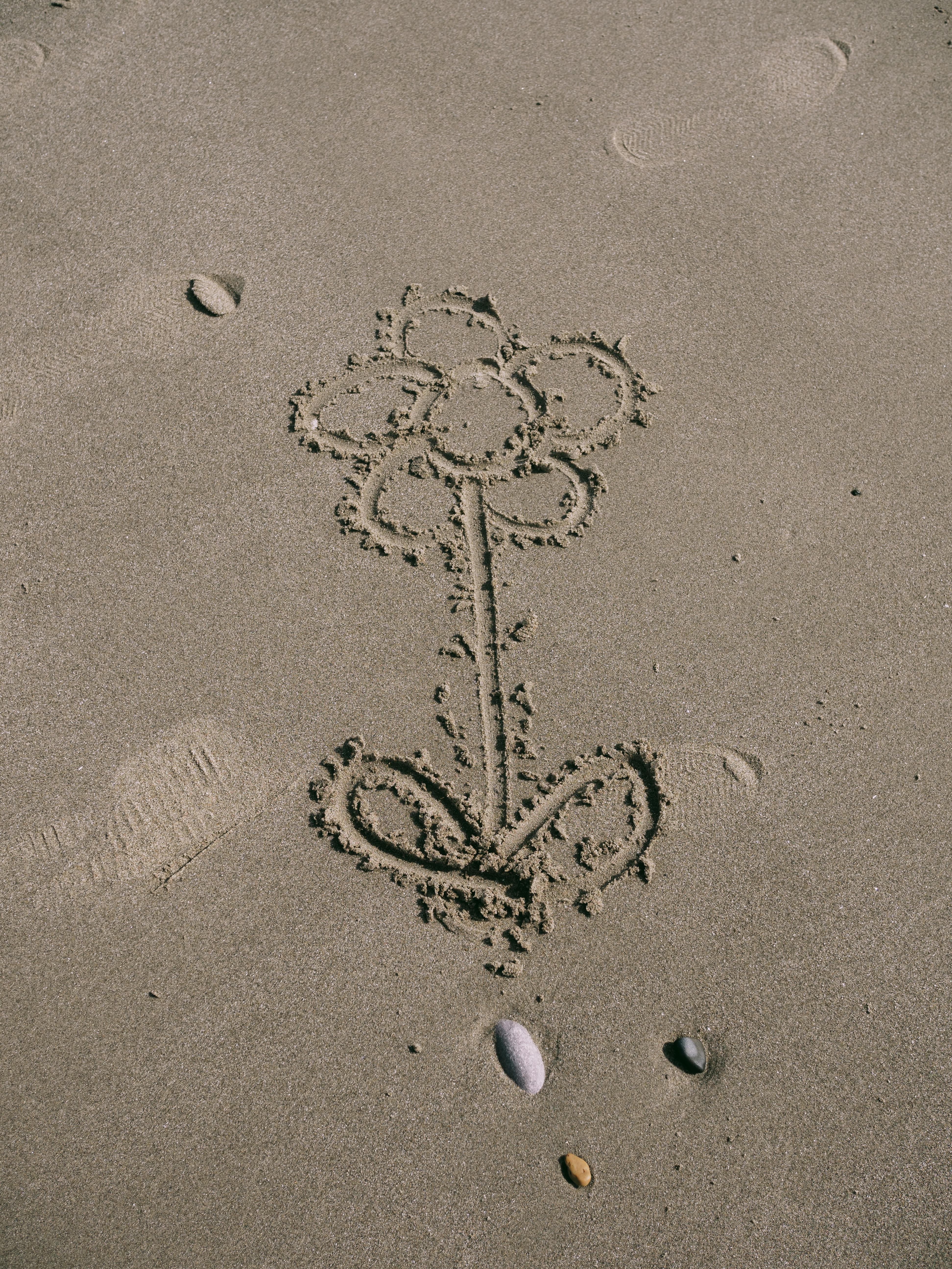 Flower drawn in beach sand surrounded by pebbles. Captures creativity and tranquility in nature.