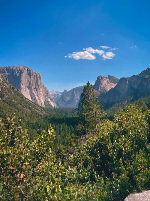 Free Breathtaking view of Yosemite National Park's iconic mountains and lush forest. Stock Photo