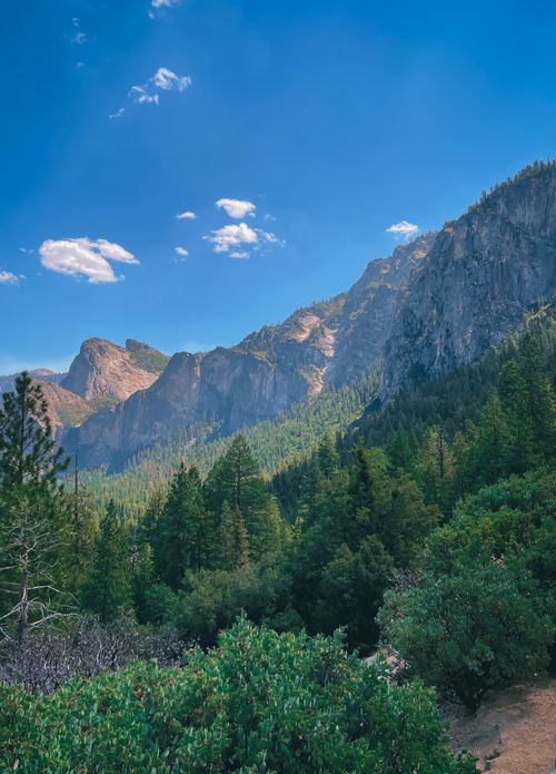 Free Experience the awe-inspiring beauty of Yosemite National Park's towering mountains and lush forests under a clear blue sky. Stock Photo