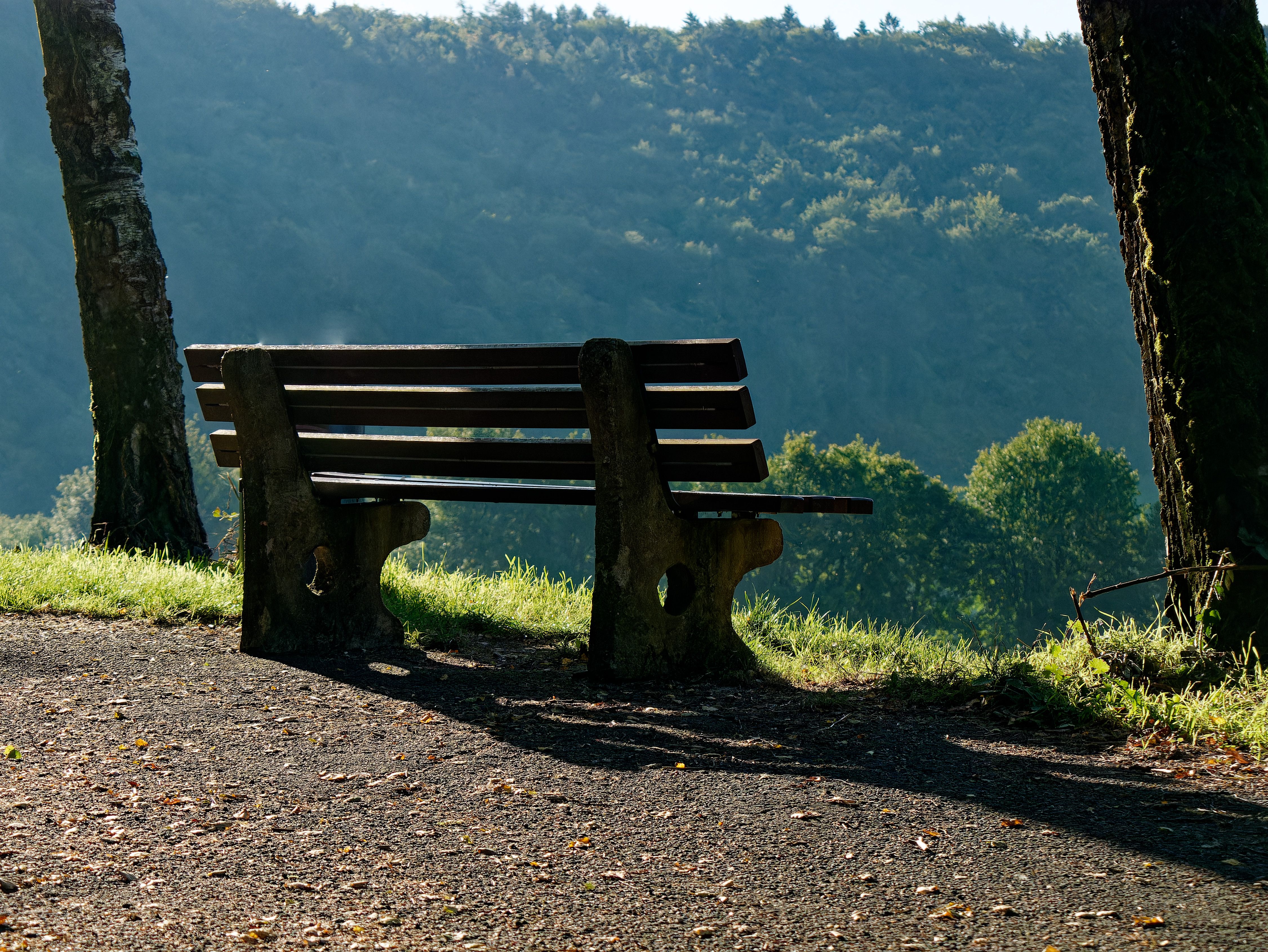 The ultimate outdoor workout: all you need is a park bench — Photo by Sabine Freiberger on Pexels