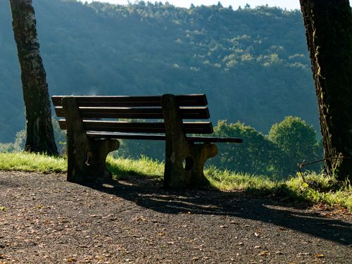 Free A solitary bench with shadows cast in a serene park setting, perfect for relaxation. Stock Photo