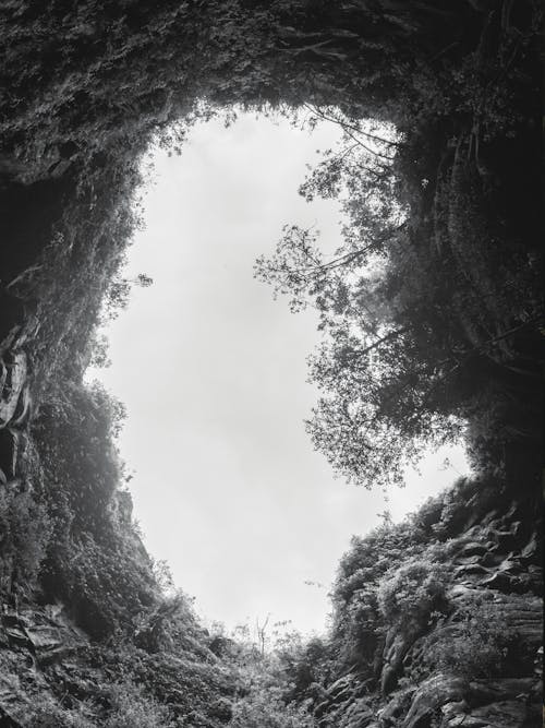 View from a Cave Surrounded by Trees