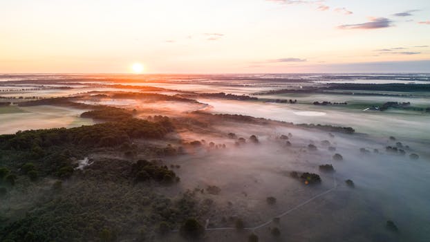 A stunning aerial view of the misty landscape at sunrise over Dwingeloo, Netherlands.