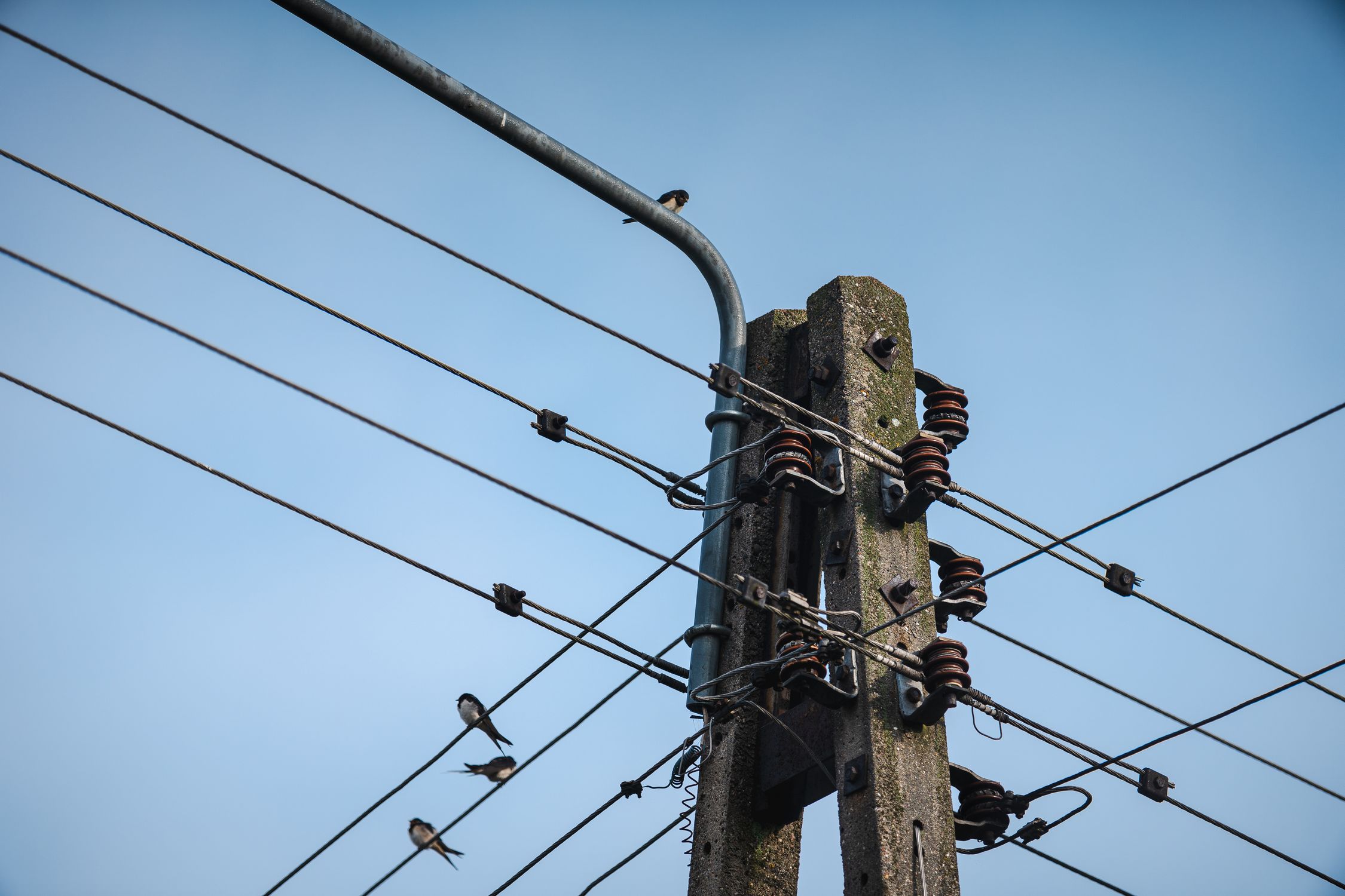 Wire Pole Electric Pole with Crossing Wires · Free Stock Photo