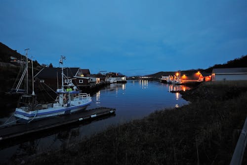 Gratis arkivbilde med fiskebåt, fiskevær, havn