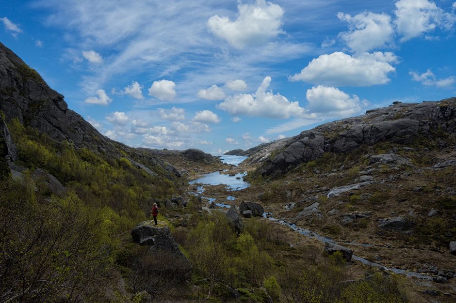 Amazing Guided SUP Tour in Reine Lofoten - 3,5 hours Review: The Ultimate Arctic Paddle Adventure Review 2026 - Hiker exploring the breathtaking landscapes of Nusfjord, Nordland, Norway.