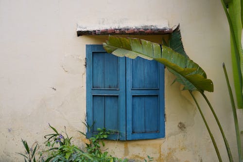 Gratis stockfoto met blauwe luiken, houten, huizen