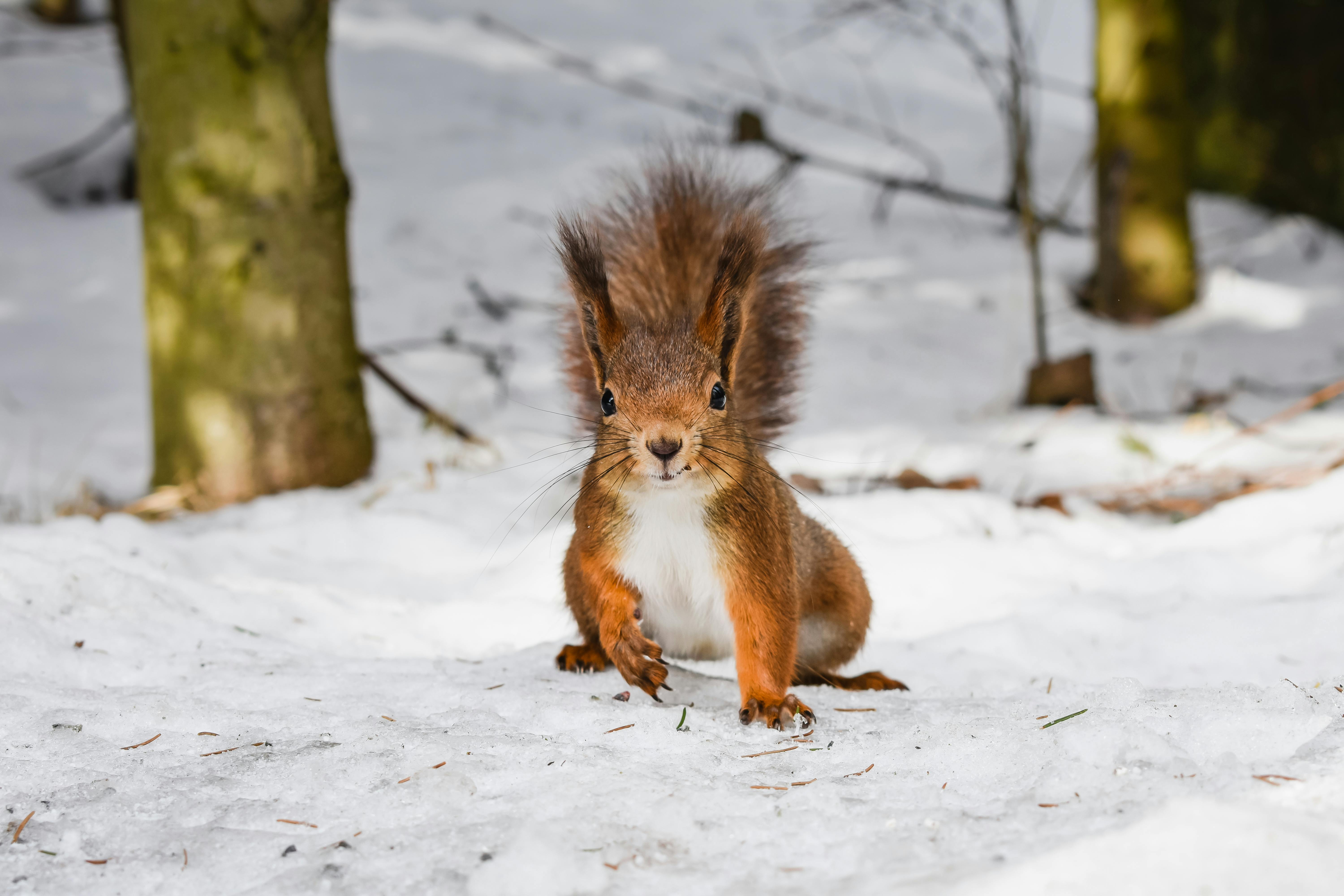 川崎 フロンターレ ユニフォーム 