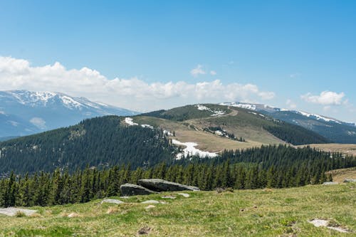 Gratis lagerfoto af 4k-baggrund, å, baggrund