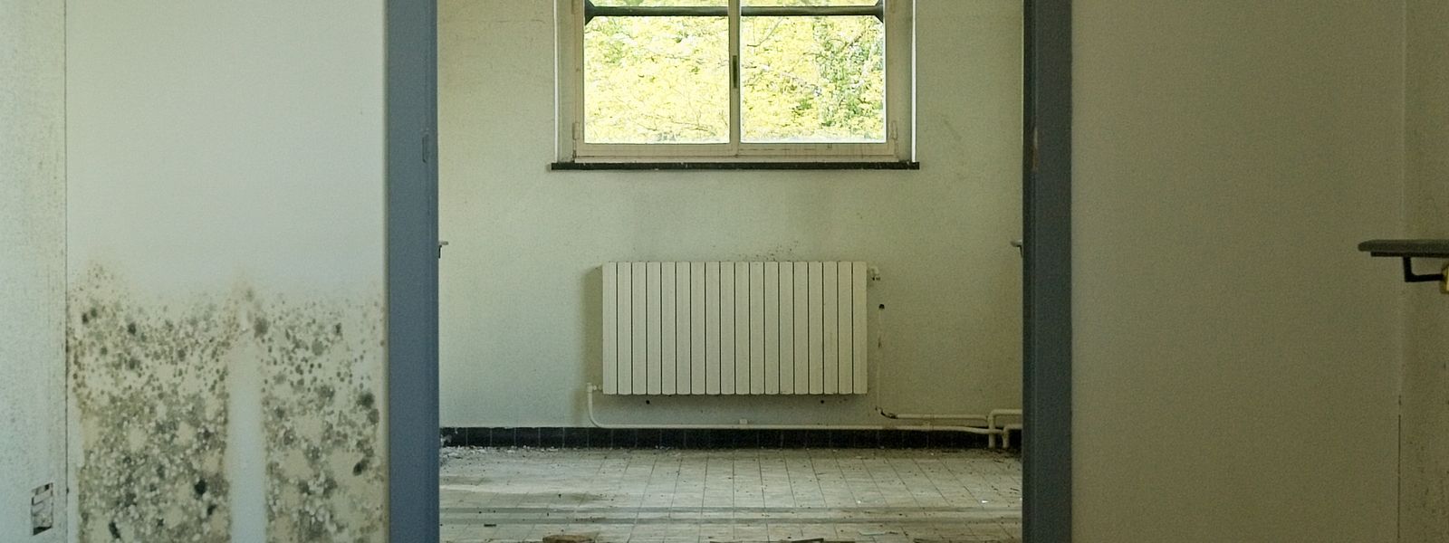 Standing water covering a room floor, reflecting the window