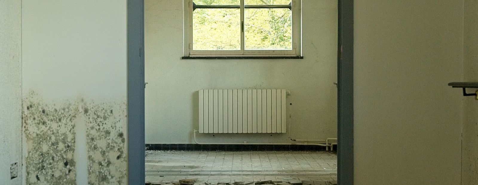 Standing water covering a room floor, reflecting the window
