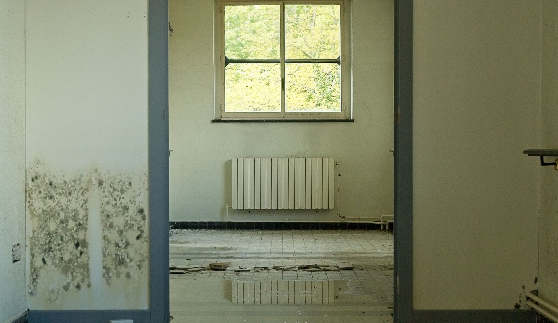 Standing water covering a room floor, reflecting the window