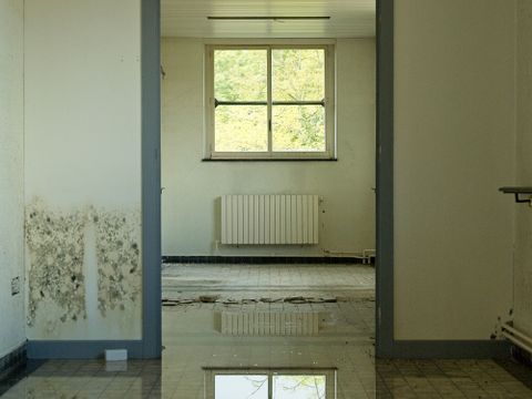 Standing water covering a room floor, reflecting the window