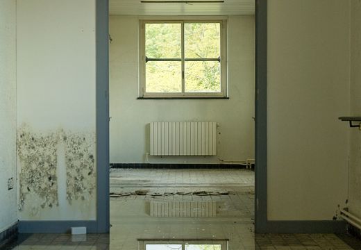 Standing water covering a room floor, reflecting the window