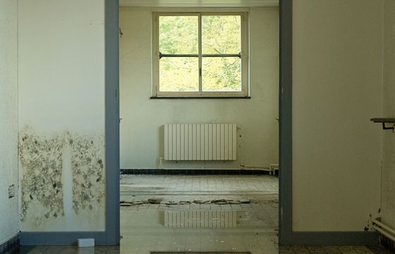 Standing water covering a room floor, reflecting the window
