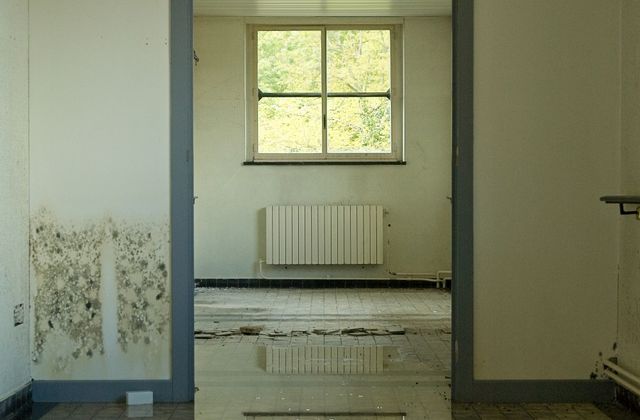 Standing water covering a room floor, reflecting the window