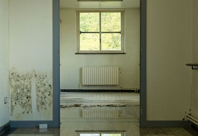 Standing water covering a room floor, reflecting the window