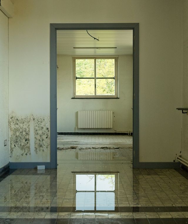 Standing water covering a room floor, reflecting the window