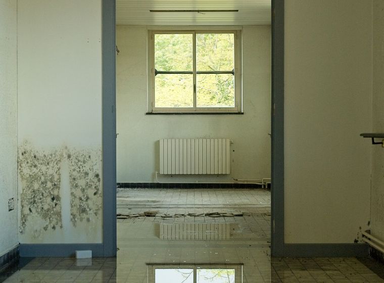 Standing water covering a room floor, reflecting the window