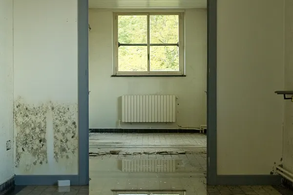 Emergency Water Damage Restoration